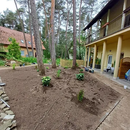 Apartment Bursztyn 2 *